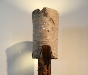 warren-barber-website2