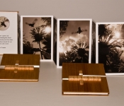 JOEL SEAMAN ACCORDION BOOK 1