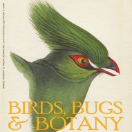 THE ARTFUL MIND MAY 2013: BIRDS, BUGS, & BOTANY