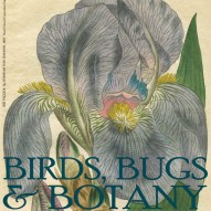 THE ARTFUL MIND JULY 2013: BIRDS, BUGS, & BOTANY