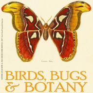 THE ARTFUL MIND JUNE 2013: BIRDS, BUGS, & BOTANY