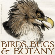 THE ARTFUL MIND AUGUST 2013: BIRDS, BUGS, & BOTANY
