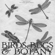 THE ARTFUL MIND September 2013: BIRDS, BUGS, & BOTANY
