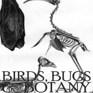 THE ARTFUL MIND October 2013: BIRDS, BUGS, & BOTANY