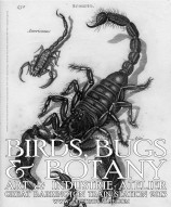 THE ARTFUL MIND December 2013: BIRDS, BUGS, & BOTANY